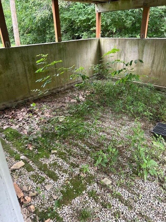 Building Photo - COMING SOON! Beautiful 4 Bedroom Home in N...