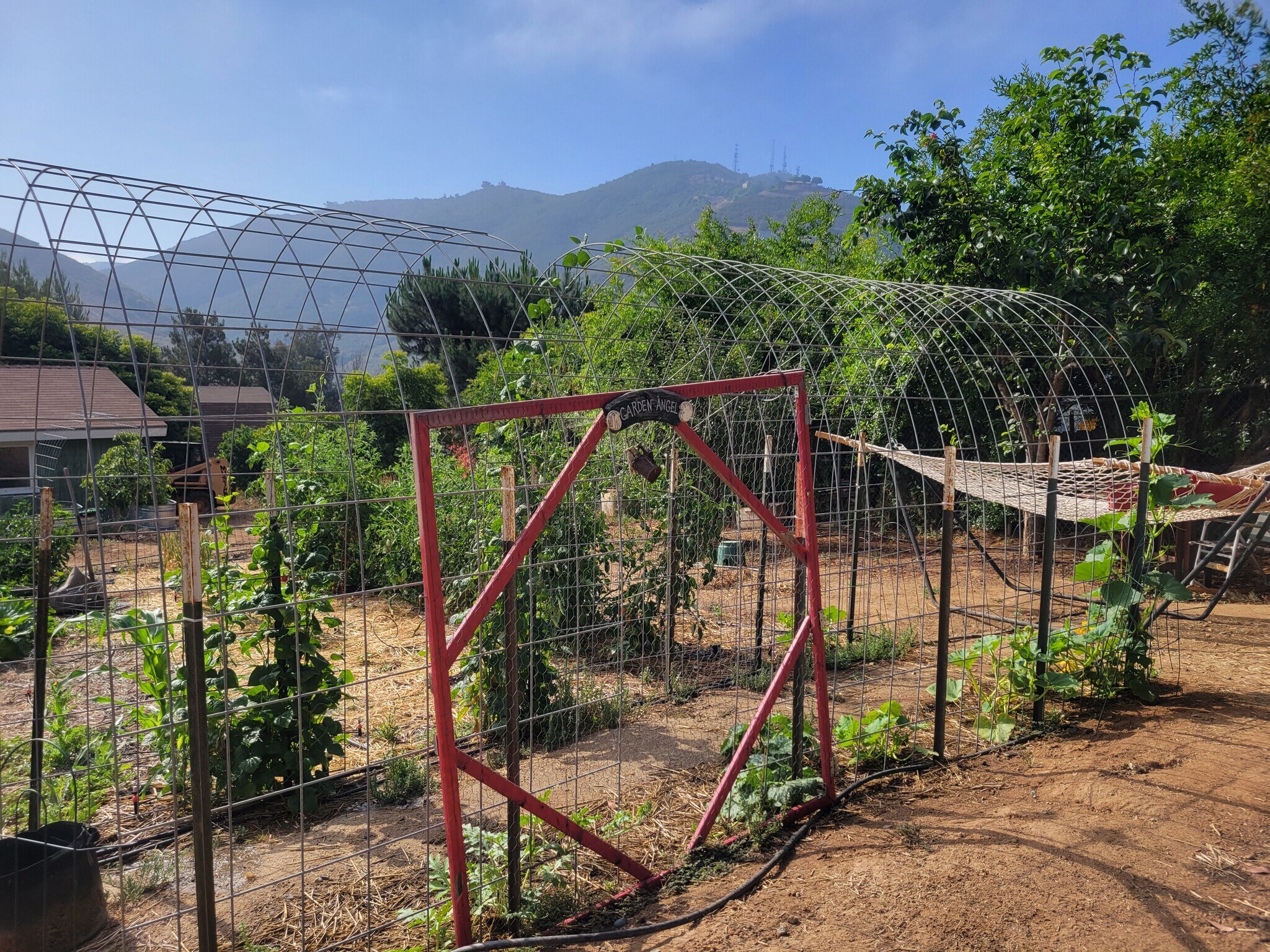 Building Photo - 2029 Willow Glen Rd