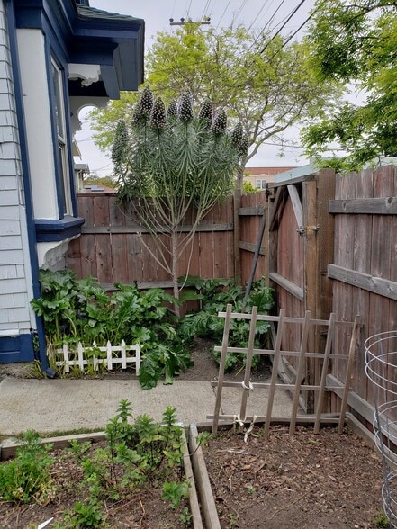 Building Photo - 2144 Bonar St
