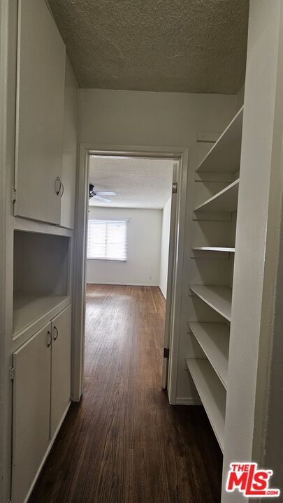 Building Photo - 1543 Euclid Ct