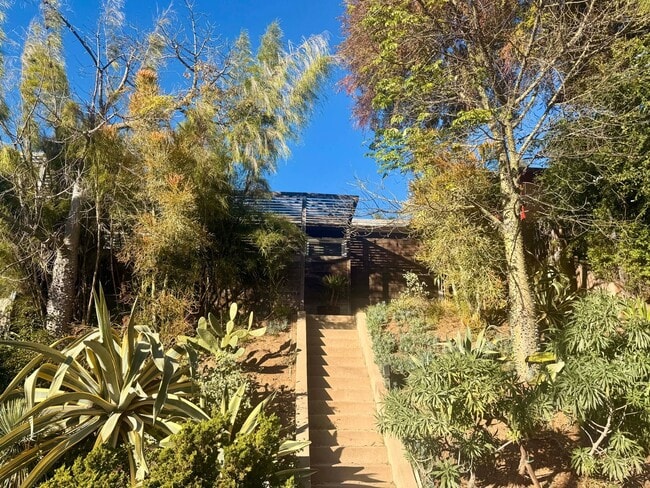 Building Photo - Hilltop Highland Park Sanctuary with Views, Private Gated Yard, In Unit Laundry, Parking & Abunda...