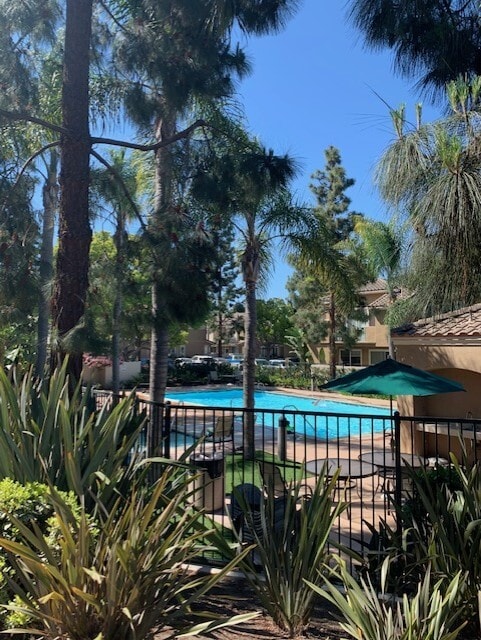 Pool - 4170 Via Candidiz