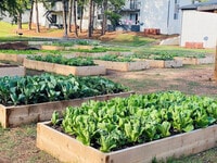 Building Photo - Villas at Embry Hills