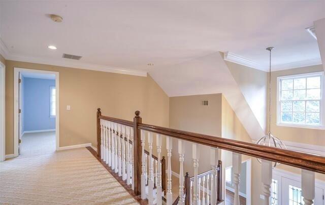 Building Photo - 115 White River Ct