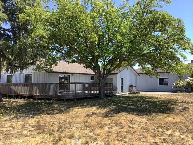 Building Photo - Sebastopol country property