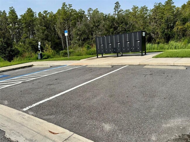 Building Photo - 32242 Turtle Grace Lp