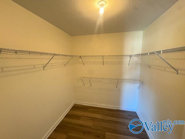 Building Photo - 5009 7 Pine Cir