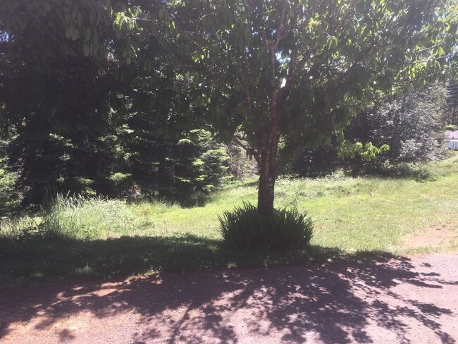 Building Photo - Spacious 3 bedroom home