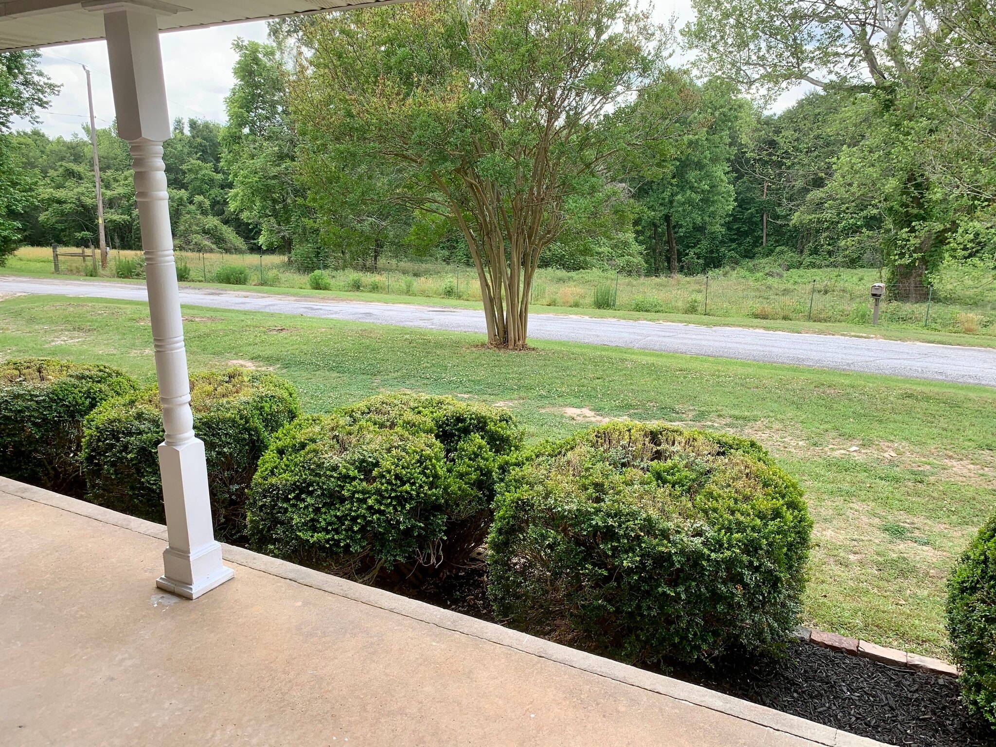View from Front Porch - 250 Bailey Mill Rd