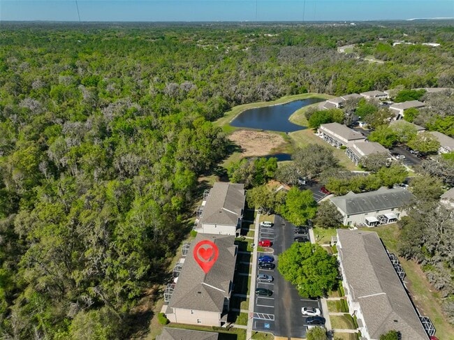 Building Photo - 15843 Fishhawk View Dr