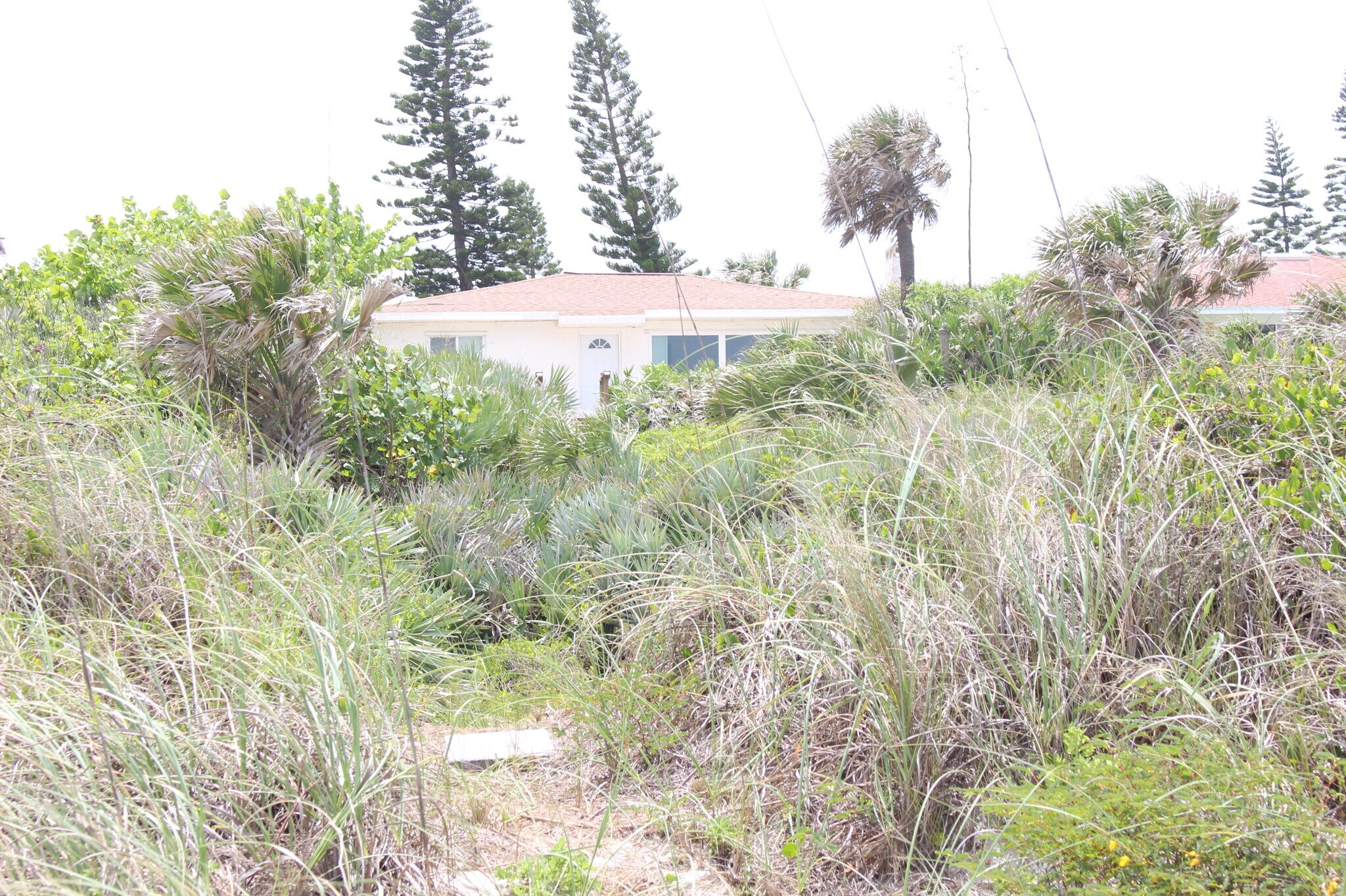 Building Photo - 1215 N Atlantic Ave