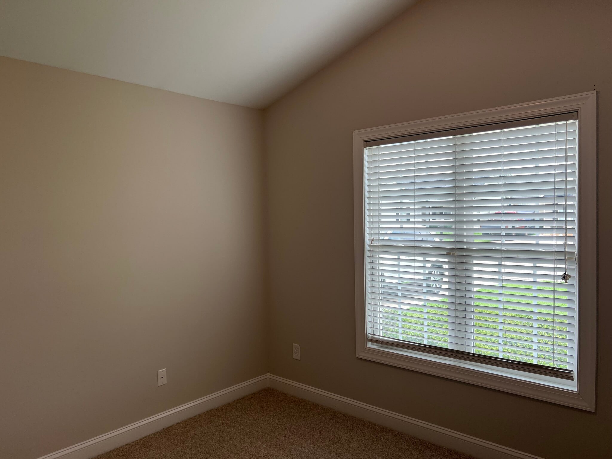 Building Photo - 4323 Blazing Star Ln