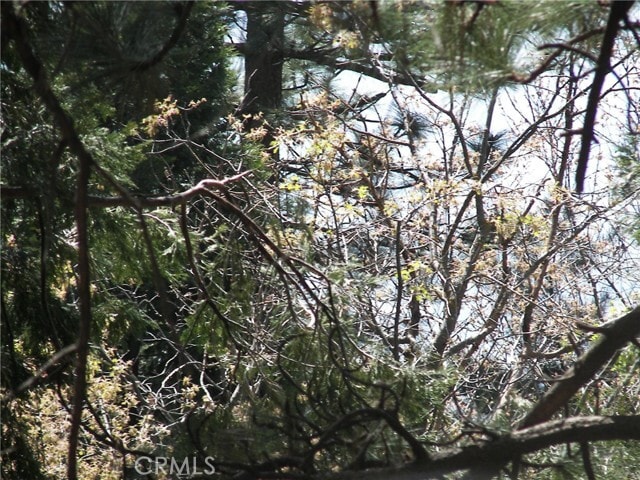 Building Photo - 21636 Sawpit Canyon Rd