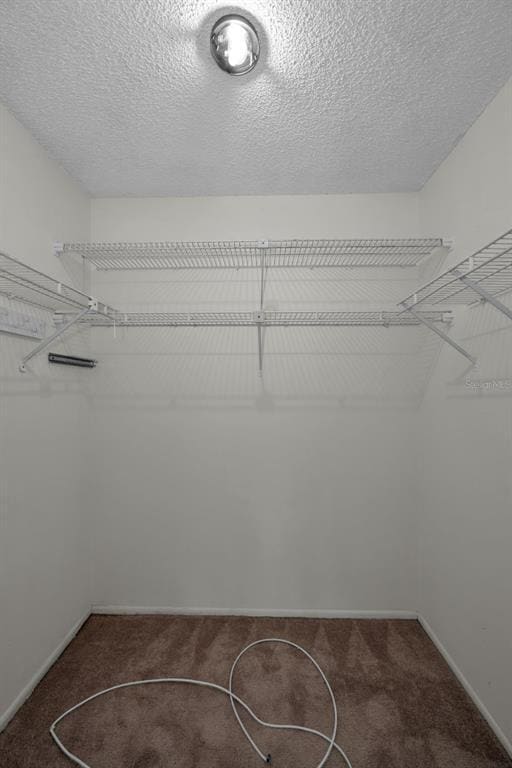 Building Photo - 3819 Teeside Dr