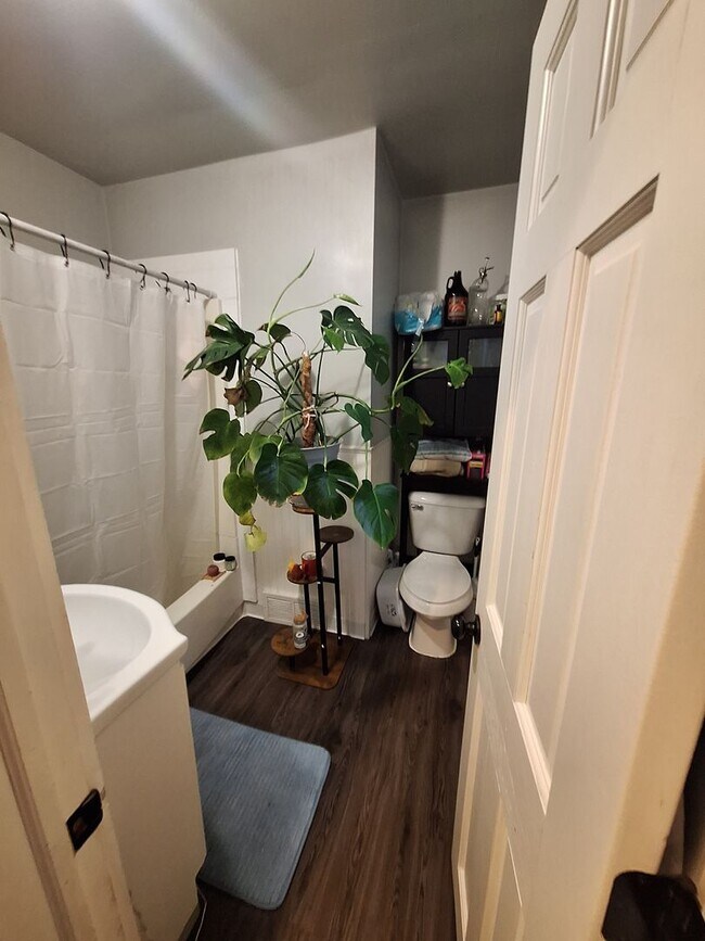 Building Photo - Studio Apartment Open May - Convenient location with extra storage!