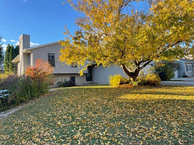 Building Photo - 2902 Tucson Trail