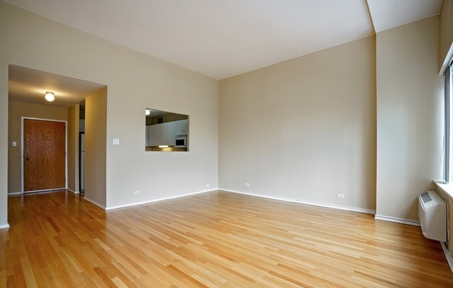 Entrance Hall & Kitchen - 211 E Ohio St