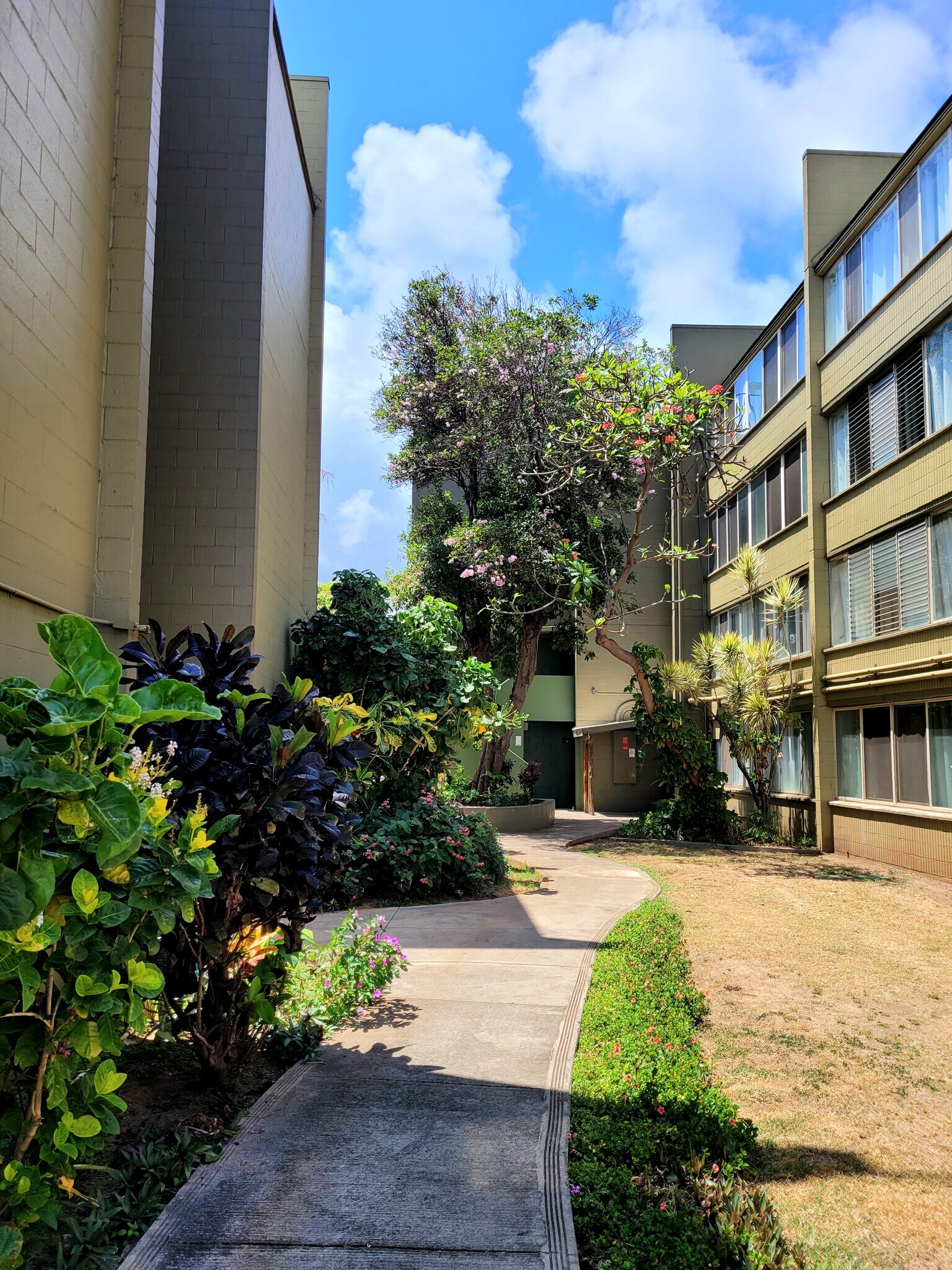 Courtyard - 111 Kahului Beach Rd