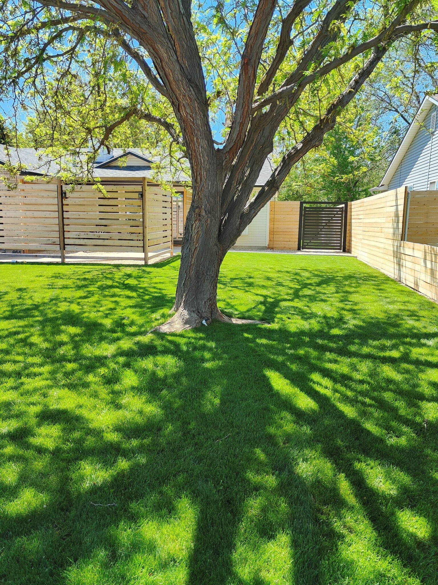Building Photo - 955 Pheasant Ct