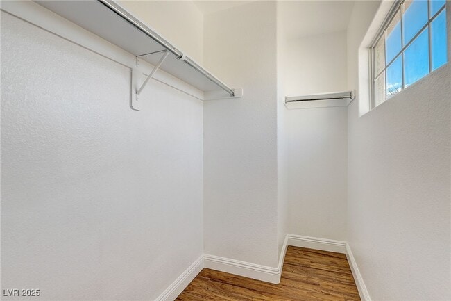 Building Photo - 1172 Drowsy Water Ct