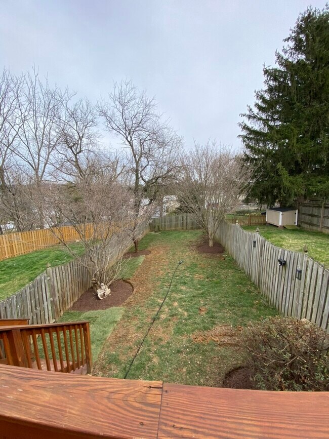 Fenced-in Backyard - 73 Boileau Ct