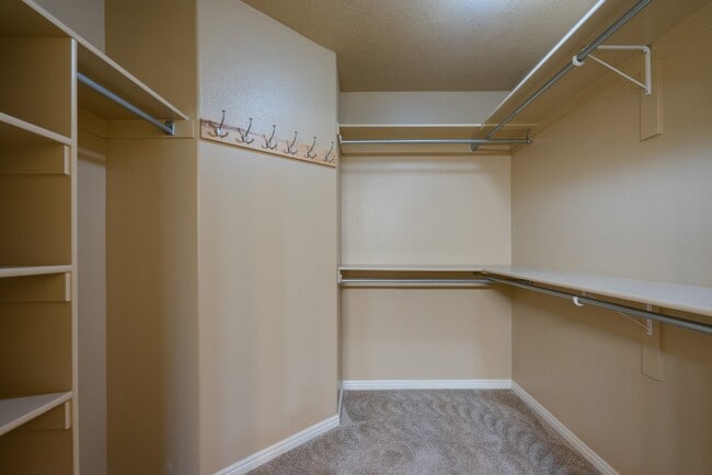 Building Photo - Dog Friendly 3 Bedroom Home In Painted Desert