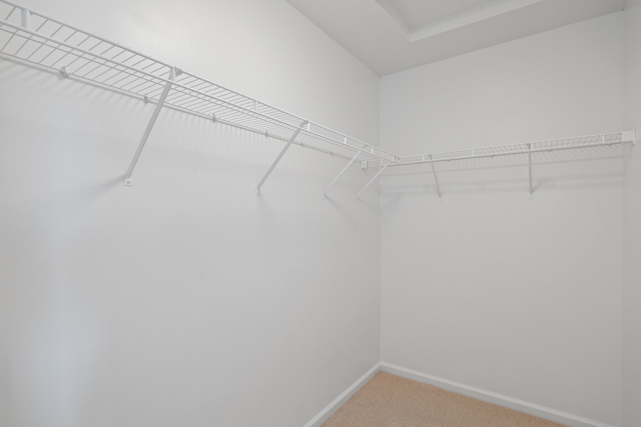 Building Photo - 2310 Liatris Dr