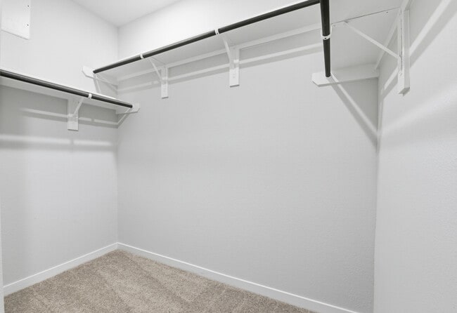 Building Photo - 4011 Ancient Honor Dr