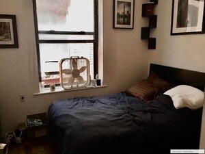 Building Photo - 215 W 106th St