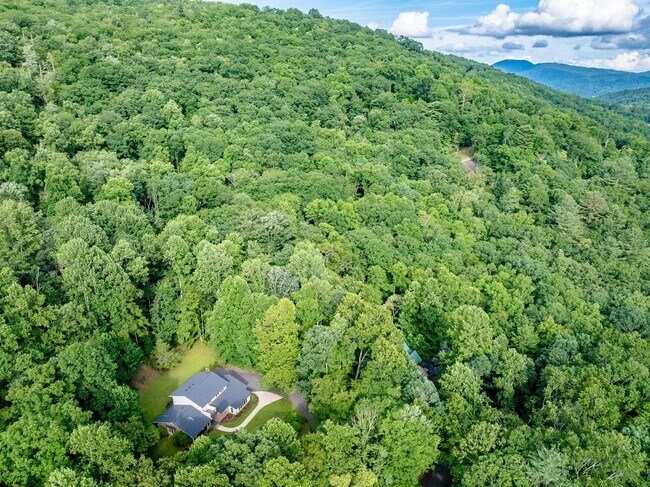 Building Photo - Spacious 4BR Home with Office and Fiber Internet Near Asheville