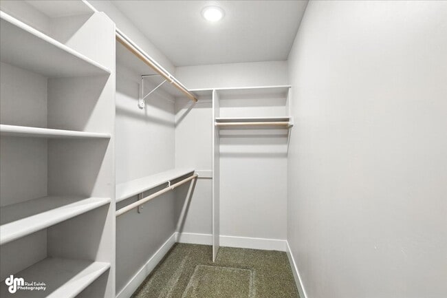 Building Photo - New & Upgraded 4BD Home!