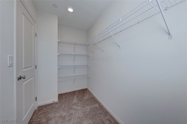 Building Photo - 2806 Alfena Pl