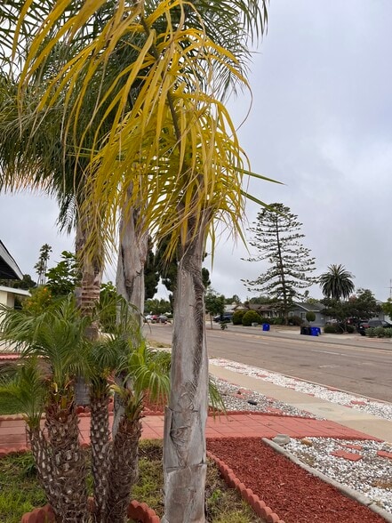 Building Photo - 2975 Governor Dr