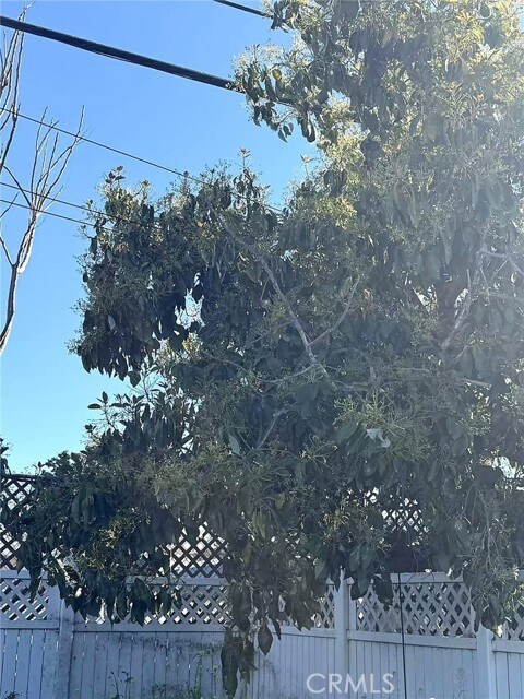 Building Photo - 8717 Tilmont Ave