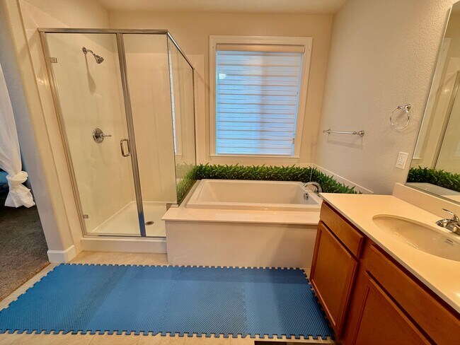 Building Photo - Vacaville 4 Bed | 3 Bath | Single-Story | 2,490 SF | Built in 2021