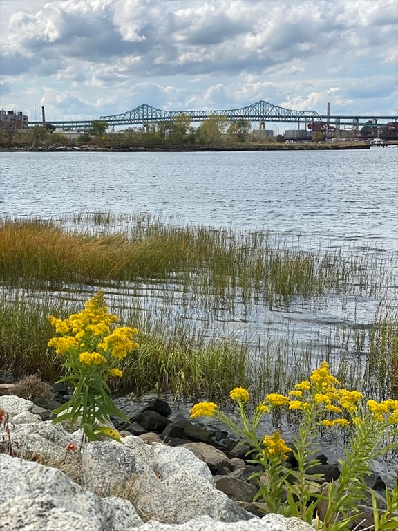 Building Photo - 207 Trenton St