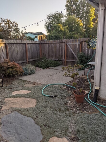 backyard - 1316 Cedar Street