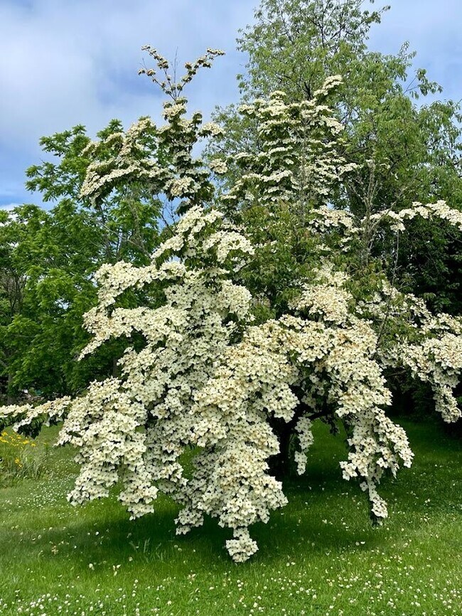 Building Photo - 94 Cross Rd