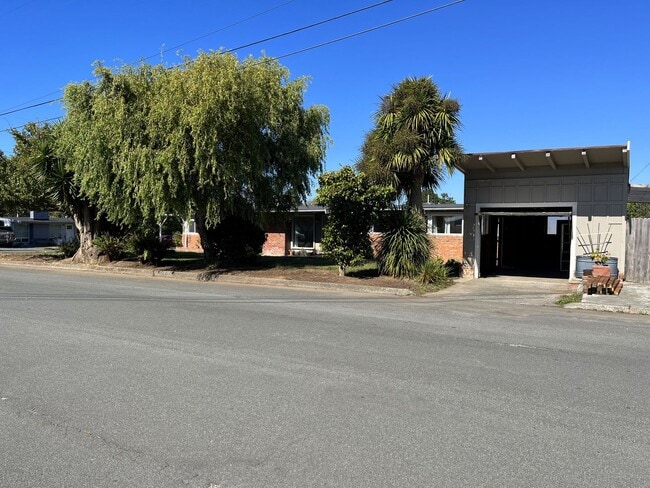 Building Photo - Large Dog-Friendly Myrtletown Home Located On A Large Corner Lot!