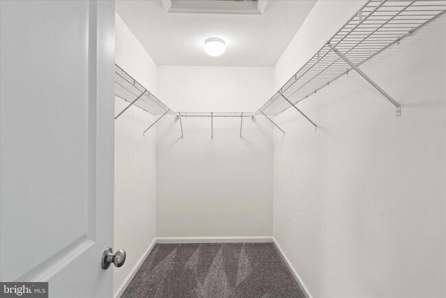 Building Photo - 5559 Trafalgar Cir