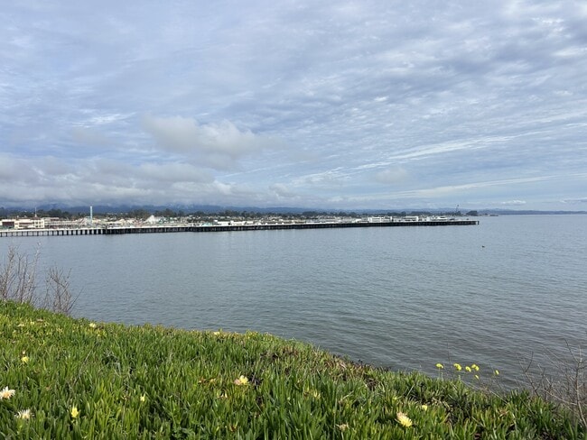 Building Photo - 109 Manor Pl