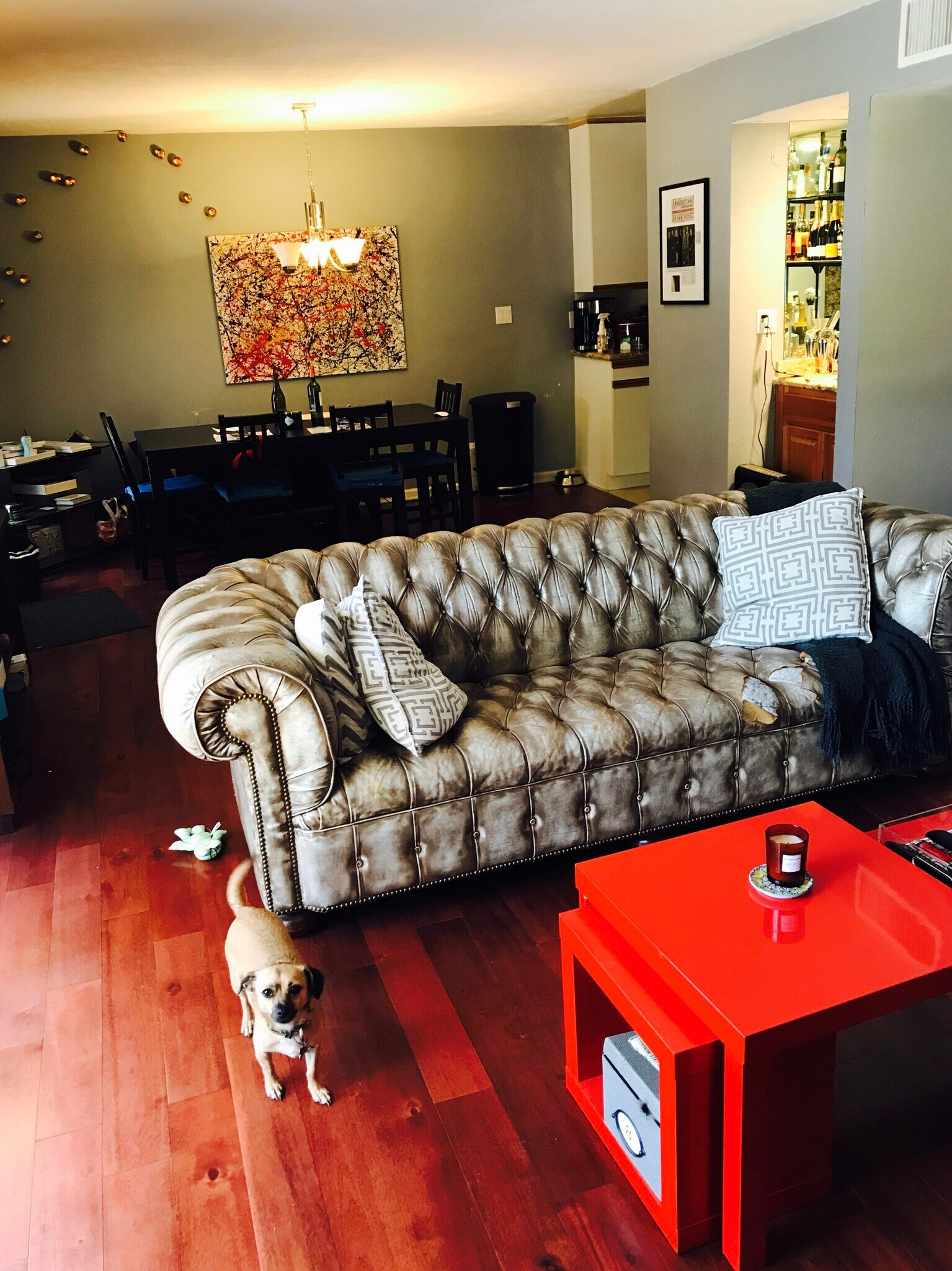 Relax on sofa while you Netflix n' chill (Puppy not included!) - 970 Palm Avenue