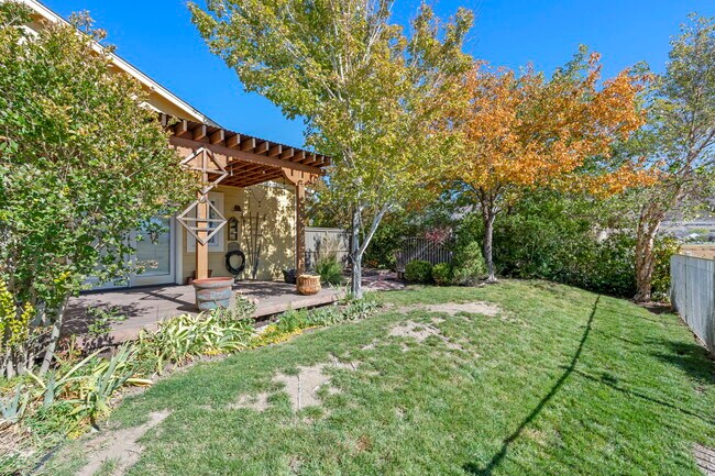 Backyard - 2100 Brittany Meadows Dr