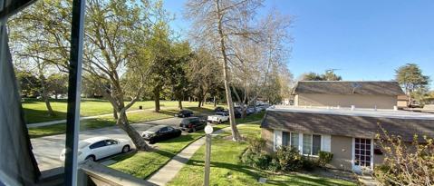 Building Photo - 211 Pecan Grove Ct