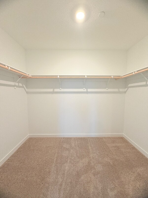 Building Photo - 1486 Sea Holly St