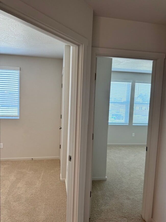 Building Photo - BRAND NEW 4 BEDROOM HOUSE W/ UPGRADES