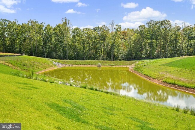 Building Photo - 2604 Cougar Ln