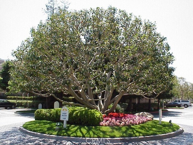 Building Photo - 2800 Plaza del Amo