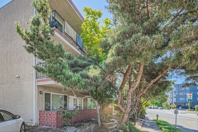 Building Photo - Newly Remodeled 2bed/1bath Apartment in White Center!