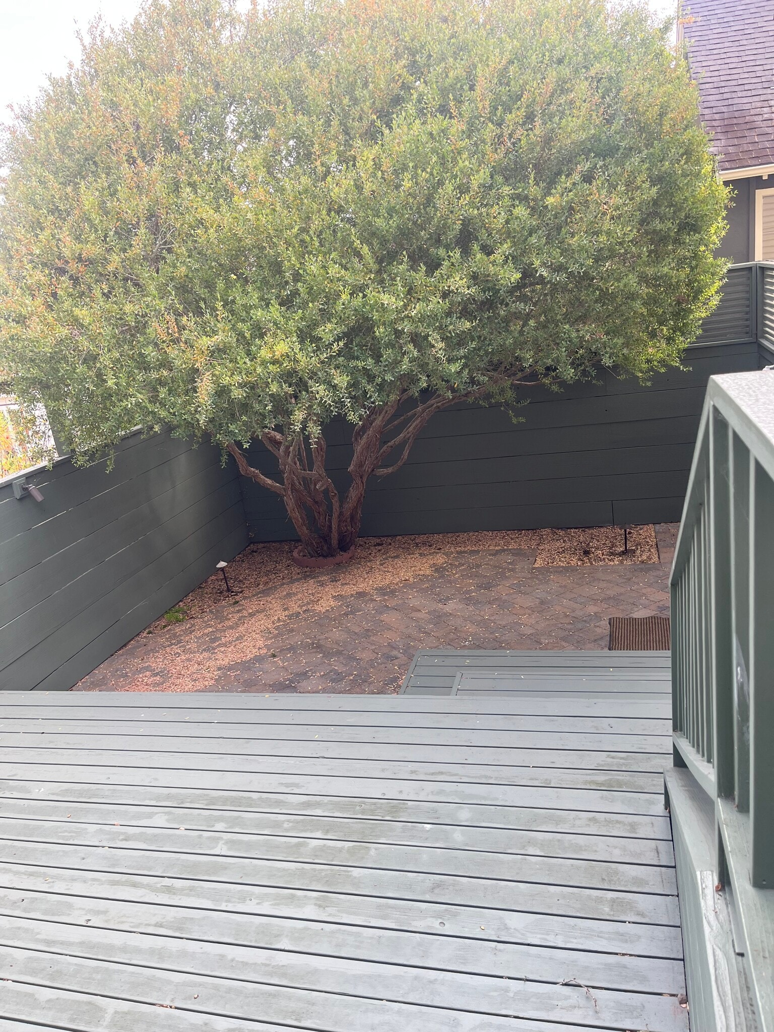 Enclosed and private backyard - 308 14th St